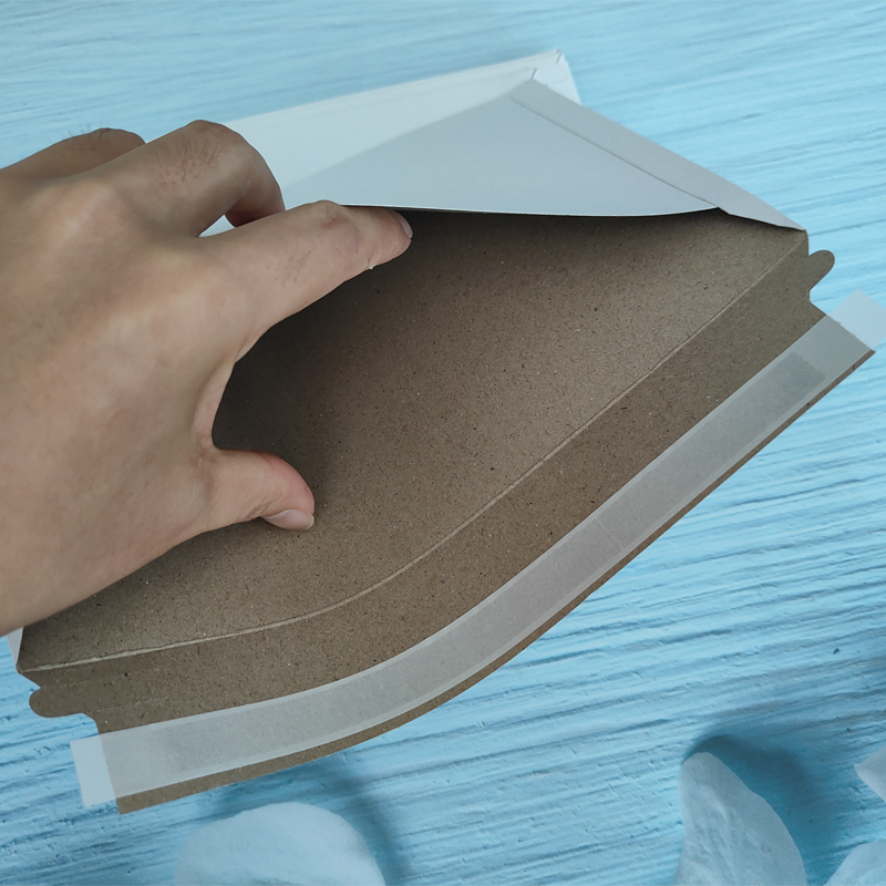 25 Stück Weiße Steife Versandt – Letter Envelope Kraft Bewertung und Preis